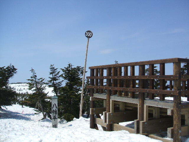 イメージ 11