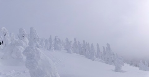 100_0661 パノラマ写真