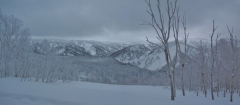 2020_01270005 パノラマ写真