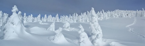 2022_12210029 パノラマ写真