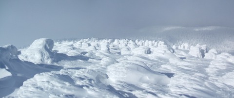 2021_01230017 パノラマ写真