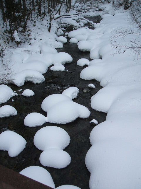 イメージ 15