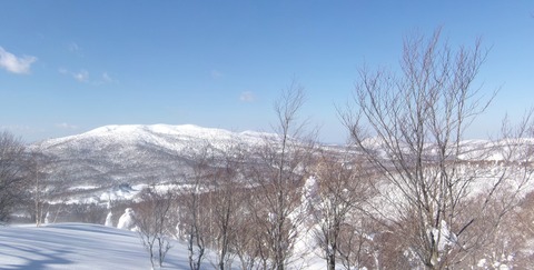 100_0760 パノラマ写真