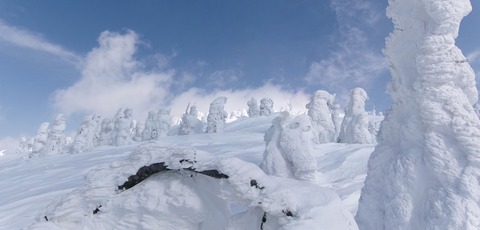 100_0830 パノラマ写真