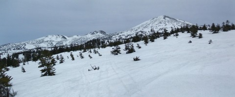 2020_03290026 パノラマ写真