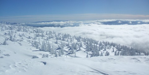 2024_01110034 パノラマ写真