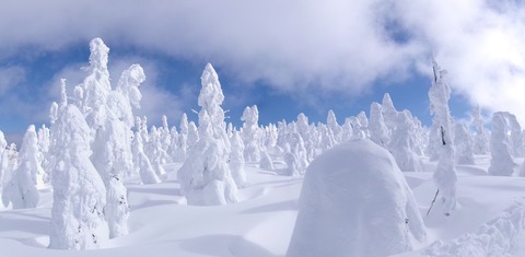 100_0712 パノラマ写真