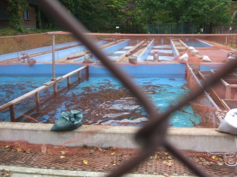 2021_10120001 パノラマ写真