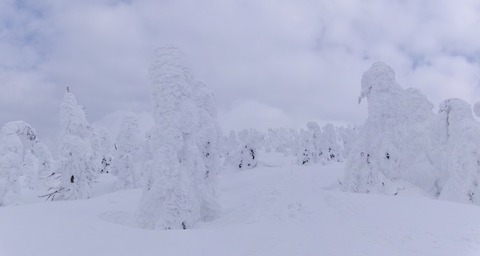 100_0643 パノラマ写真