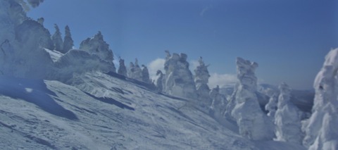 2023_02270020 パノラマ写真