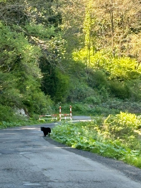 image0