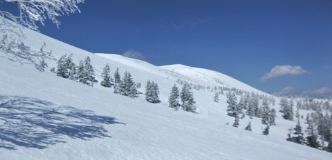 2023_03190029 パノラマ写真