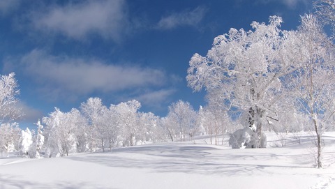 100_0703 パノラマ写真