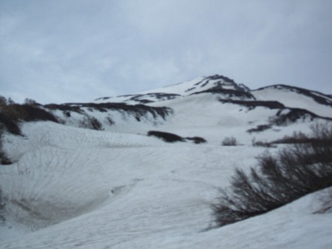 2020_05120011