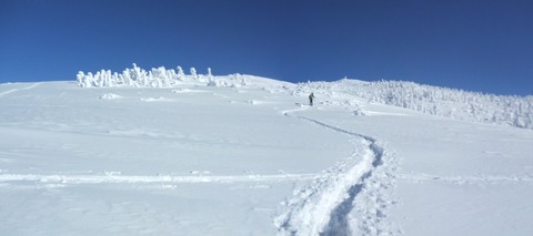 2024_01110020 パノラマ写真