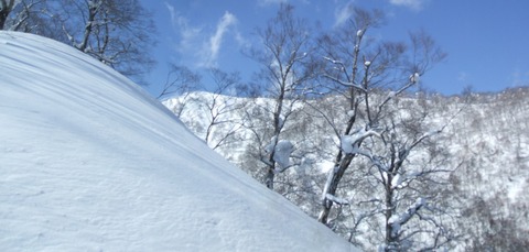 2022_03010017 パノラマ写真