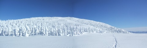 2024_01110016 パノラマ写真