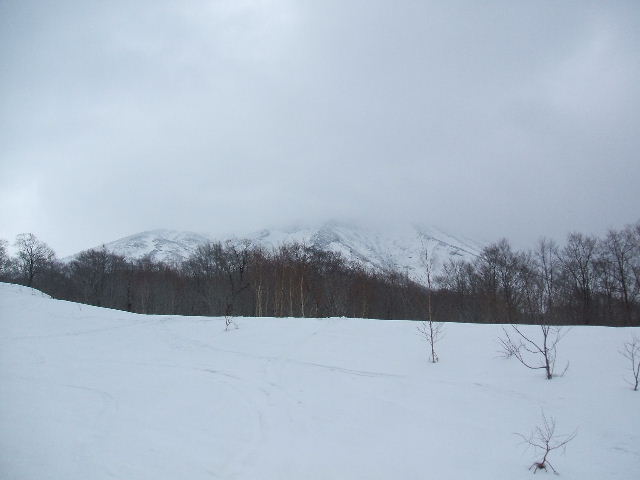 イメージ 6