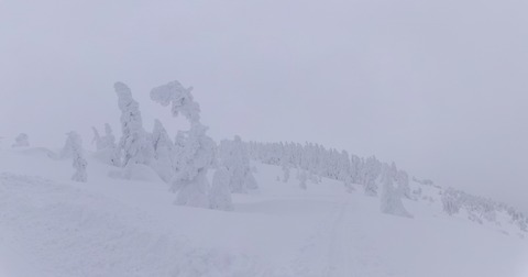 100_0594 パノラマ写真