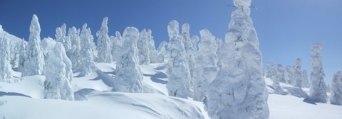 2022_03090058 パノラマ写真