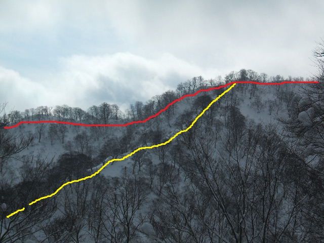 イメージ 14