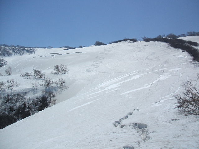 イメージ 14