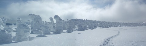 2024_02060071 パノラマ写真