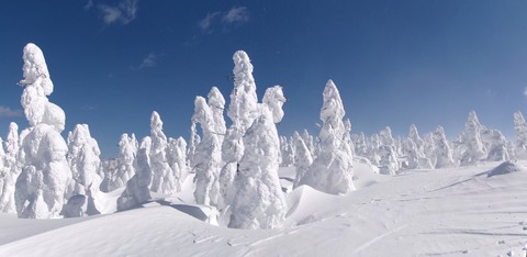 100_0768 パノラマ写真