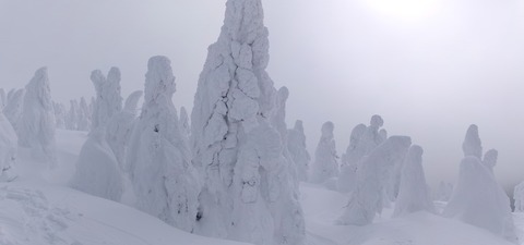 100_0665 パノラマ写真