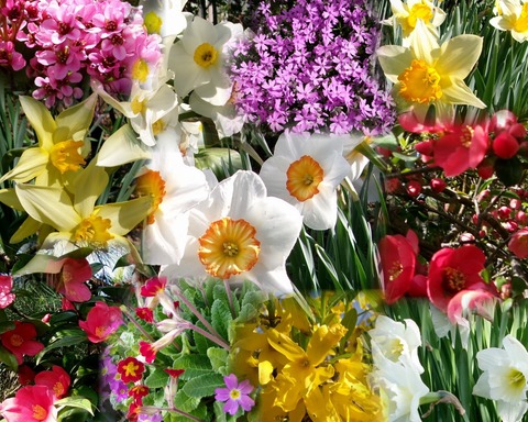 2024_04230002 のコラージュ