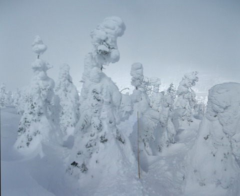 2020_01270027 パノラマ写真