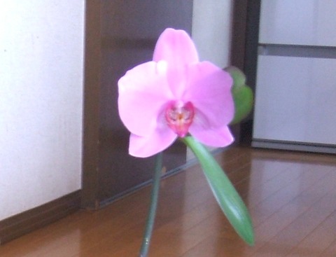 2022_04120005