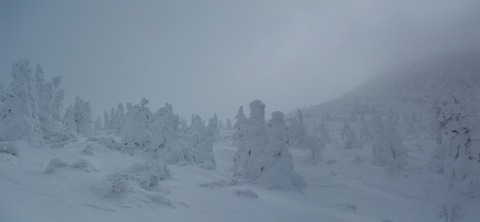 2020_01270016 パノラマ写真