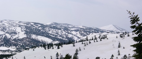 2024_04140038 パノラマ写真