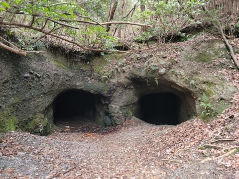 Naratinnsupot-donnzurubou-20230218_133541