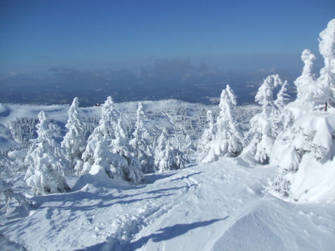 2019_12290023