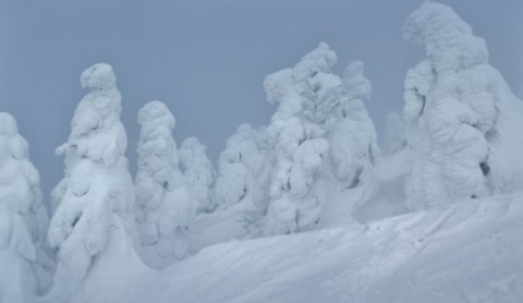 2023_01120035 パノラマ写真