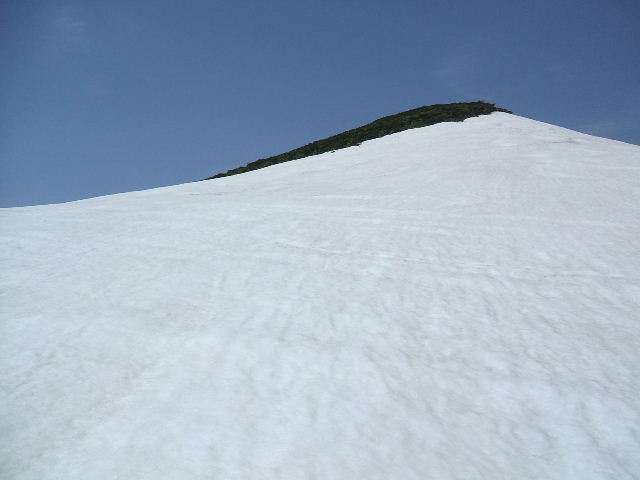 イメージ 8