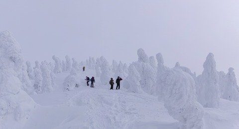 100_0663 パノラマ写真