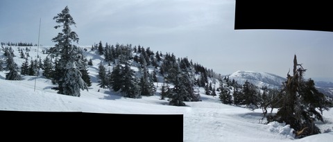 2023_03110023 パノラマ写真