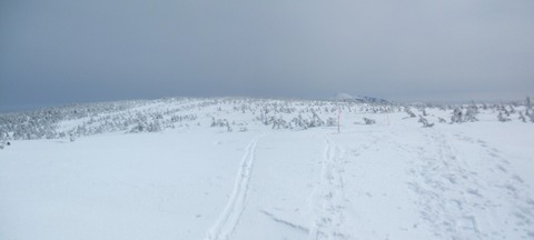 2021_03200018 パノラマ写真