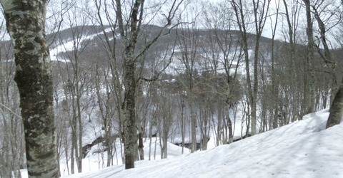 2023_03250006 パノラマ写真