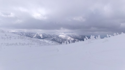 2024_03160006 パノラマ写真