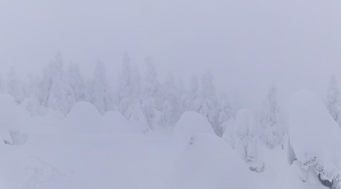 2024_12210004 パノラマ写真