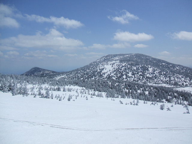 イメージ 16