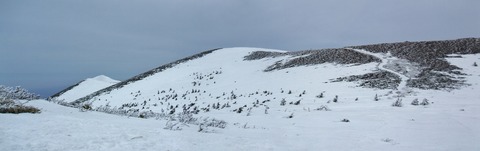 2020_03290016 パノラマ写真