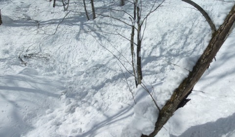 2022_03010025 パノラマ写真