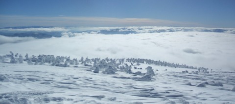 2024_01110027 パノラマ写真