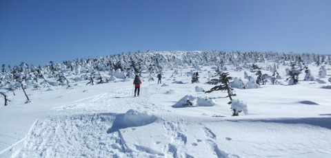 2024_02180008 パノラマ写真