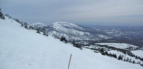 2020_03290024 パノラマ写真